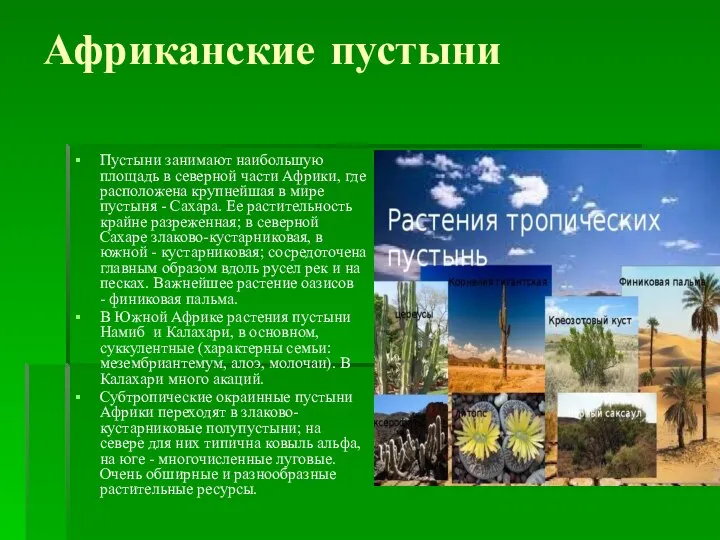 Африканские пустыни Пустыни занимают наибольшую площадь в северной части Африки, где