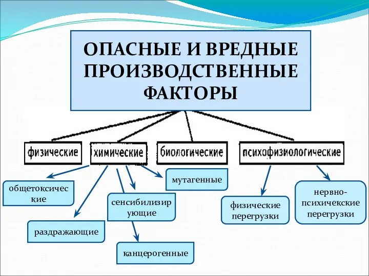 ОПАСНЫЕ И ВРЕДНЫЕ ПРОИЗВОДСТВЕННЫЕ ФАКТОРЫ общетоксические раздражающие сенсибилизирующие мутагенные канцерогенные физические перегрузки нервно-психичекские перегрузки