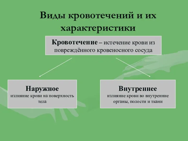 Виды кровотечений и их характеристики Наружное излияние крови на поверхность тела