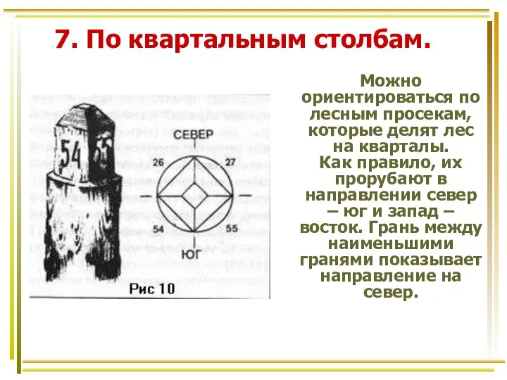 7. По квартальным столбам. Можно ориентироваться по лесным просекам, которые делят