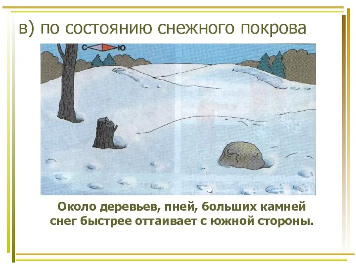 в) по состоянию снежного покрова Около деревьев, пней, больших камней снег быстрее оттаивает с южной стороны.