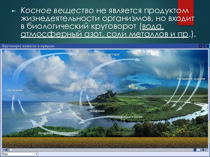 Косное вещество не является продуктом жизнедеятельности организмов, но входит в биологический