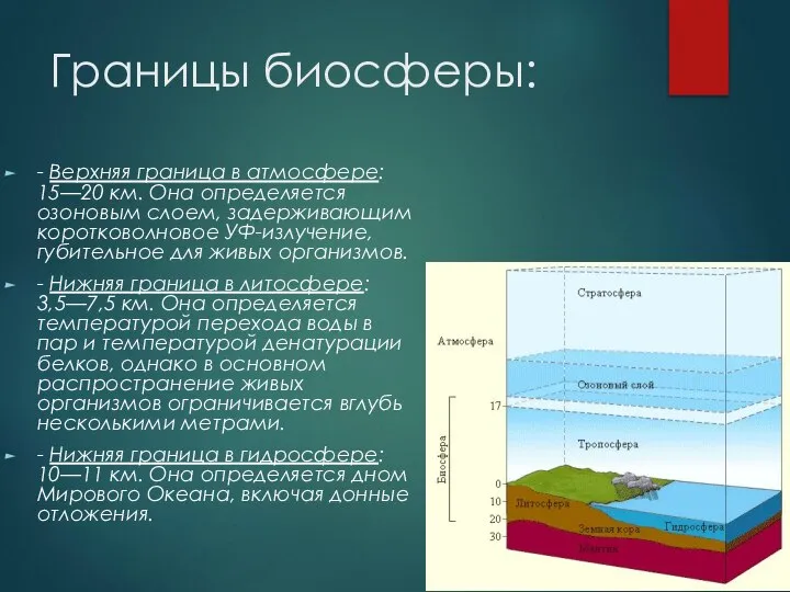 Границы биосферы: - Верхняя граница в атмосфере: 15—20 км. Она определяется