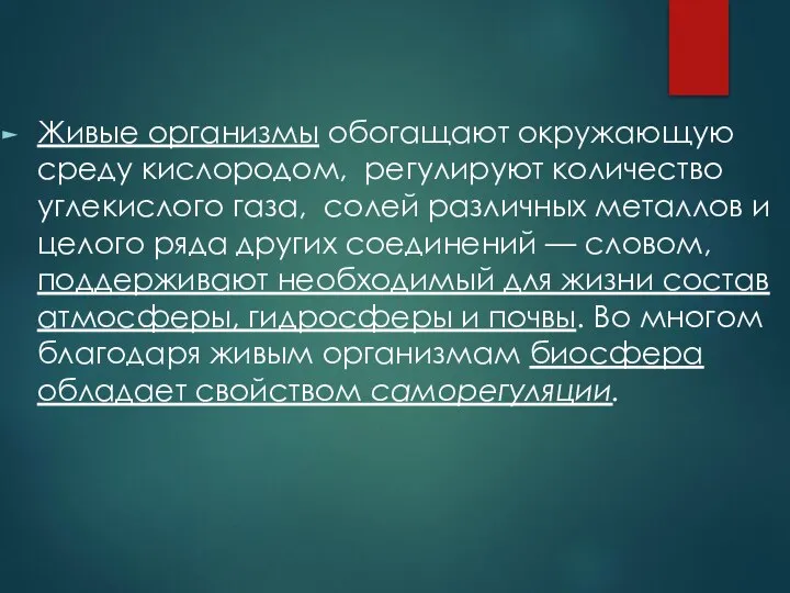 Живые организмы обогащают окружающую среду кислородом, регулируют количество углекислого газа, солей