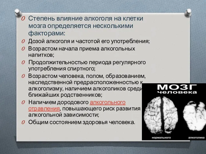 Степень влияние алкоголя на клетки мозга определяется несколькими факторами: Дозой алкоголя