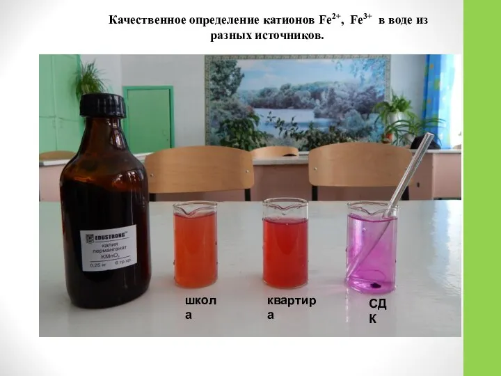 Качественное определение катионов Fe2+, Fe3+ в воде из разных источников. СДК школа квартира