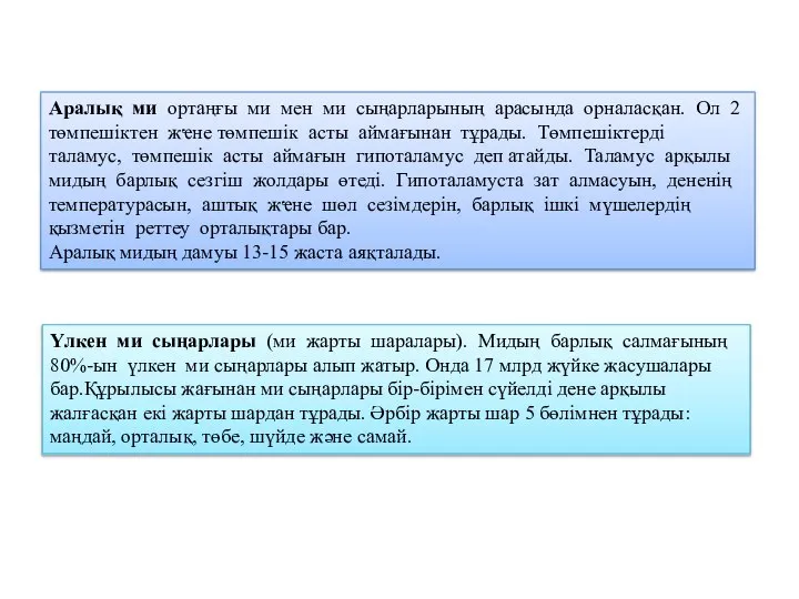 Аралық ми ортаңғы ми мен ми сыңарларының арасында орналасқан. Ол 2