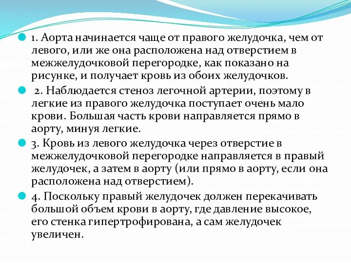 1. Аорта начинается чаще от правого желудочка, чем от левого, или