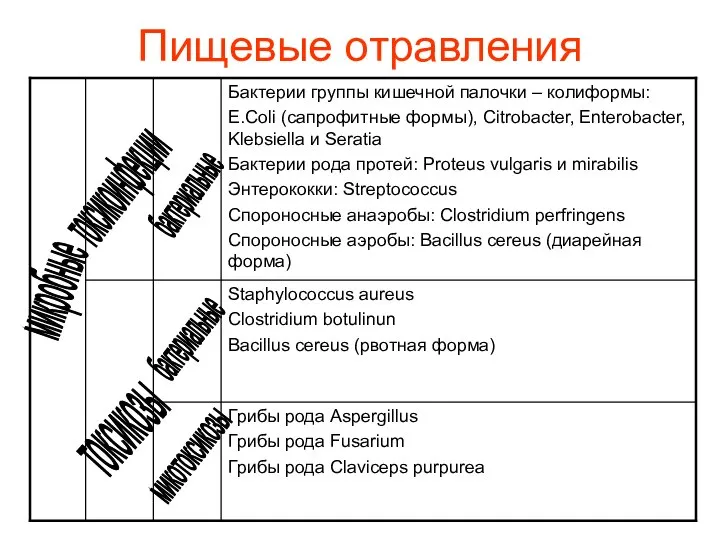 Пищевые отравления микробные токсикоинфекции бактериальные токсикозы бактериальные микотоксикозы