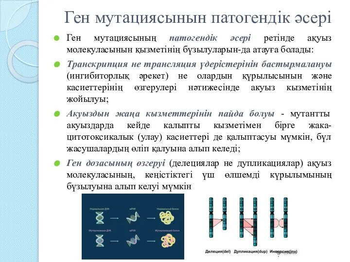 Ген мутациясынын патогендік әсері Ген мутациясының патогендік әсері ретінде ақуыз молекуласынын