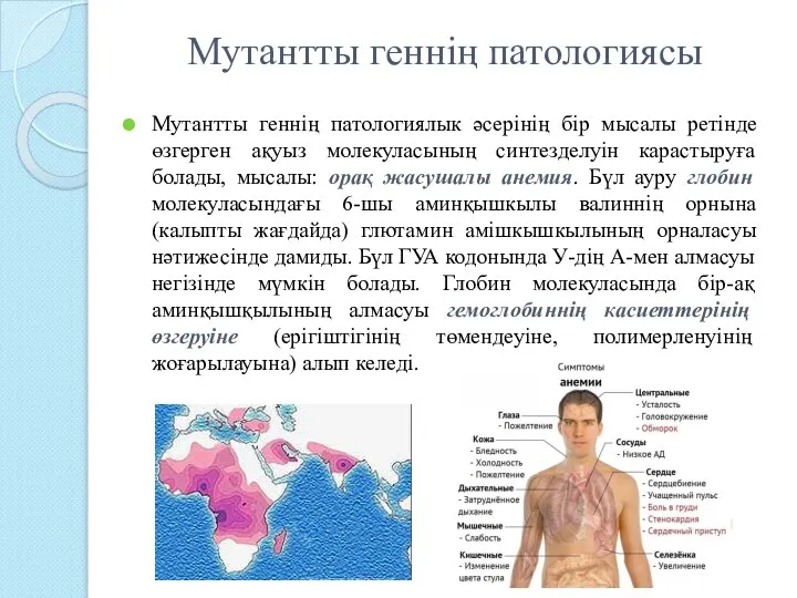 Мутантты геннің патологиясы Мутантты геннің патологиялык әсерінің бір мысалы ретінде өзгерген