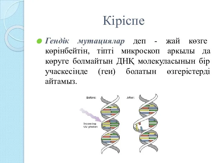 Кіріспе Гендік мутациялар деп - жай көзге көрінбейтін, тіпті микроскоп аркылы