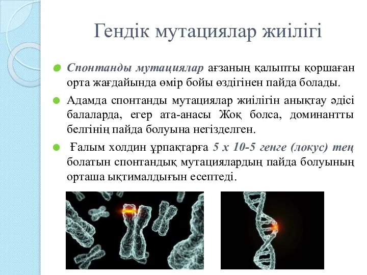 Гендік мутациялар жиілігі Спонтанды мутациялар ағзаның қалыпты қоршаған орта жағдайында өмір