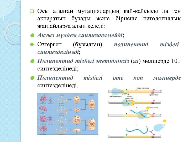 Осы аталған мутациялардың кай-кайсысы да ген акпаратын бүзады және бірнеше патологиялык