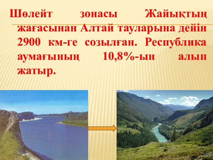 Шөлейт зонасы Жайықтың жағасынан Алтай тауларына дейін 2900 км-ге созылған. Республика аумағының 10,8%-ын алып жатыр.