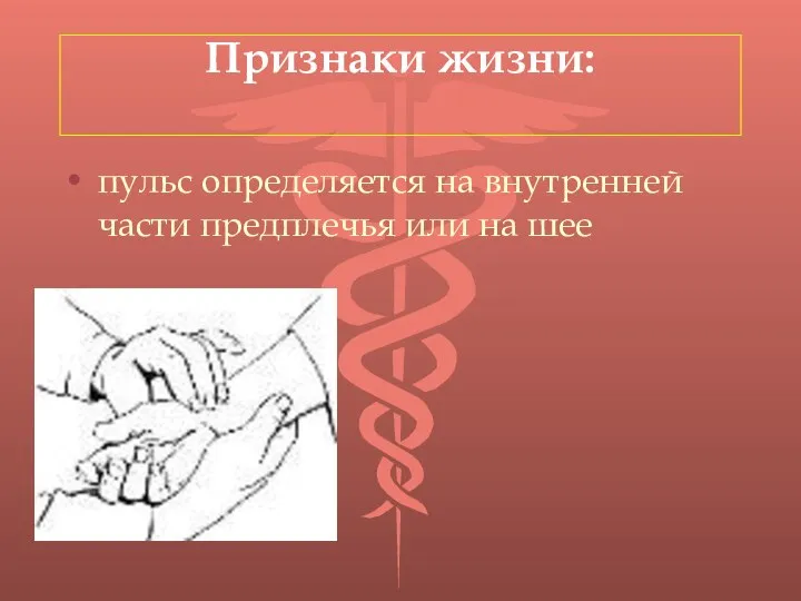 Признаки жизни: пульс определяется на внутренней части предплечья или на шее