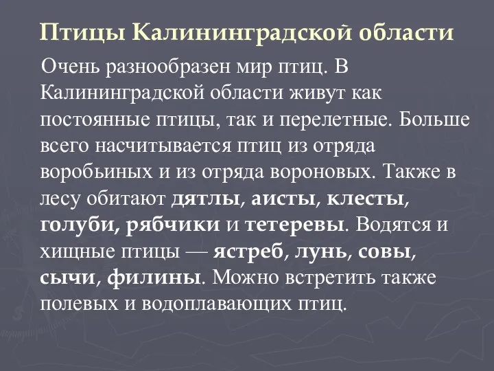 Птицы Калининградской области Очень разнообразен мир птиц. В Калининградской области живут