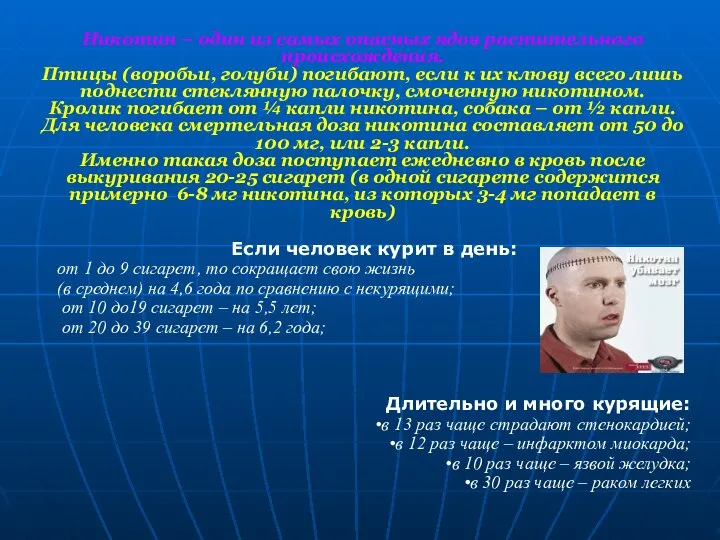 Никотин – один из самых опасных ядов растительного происхождения. Птицы (воробьи,