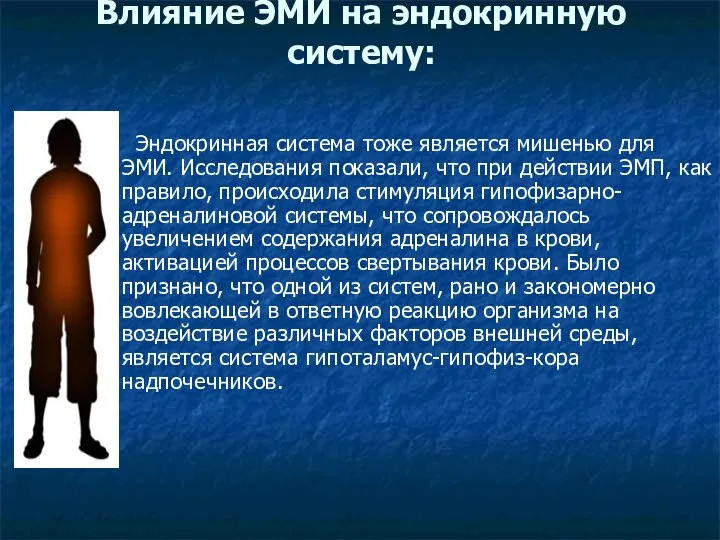 Влияние ЭМИ на эндокринную систему: Эндокринная система тоже является мишенью для