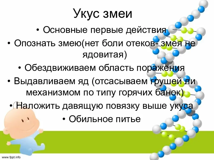 Укус змеи Основные первые действия Опознать змею(нет боли отеков- змея не