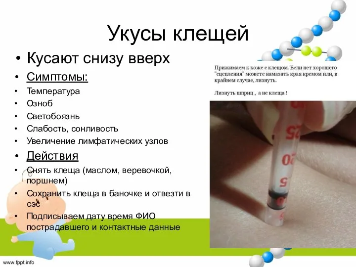 Укусы клещей Кусают снизу вверх Симптомы: Температура Озноб Светобоязнь Слабость, сонливость