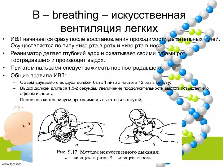 B – breathing – искусственная вентиляция легких ИВЛ начинается сразу после