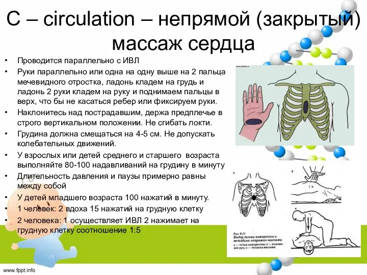 C – circulation – непрямой (закрытый) массаж сердца Проводится параллельно с