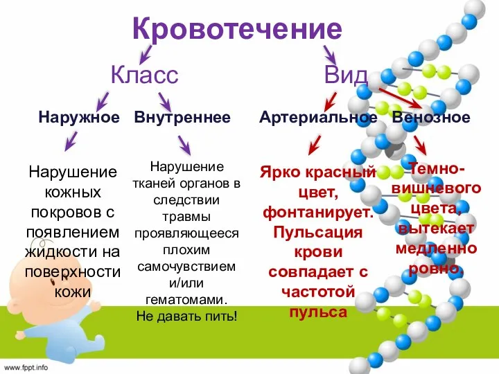 Кровотечение Класс Вид Наружное Внутреннее Артериальное Венозное Ярко красный цвет, фонтанирует.