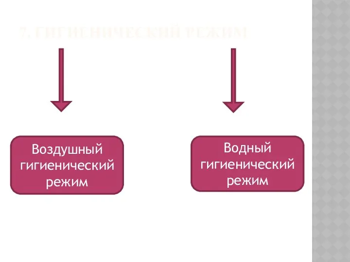 7. ГИГИЕНИЧЕСКИЙ РЕЖИМ Воздушный Воздушный гигиенический режим Водный гигиенический режим