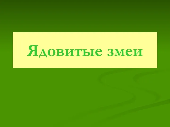 Ядовитые змеи