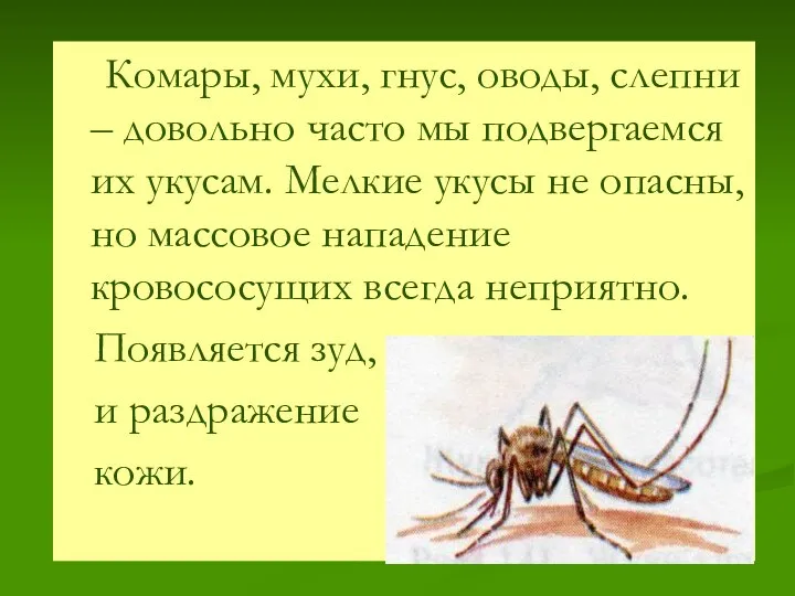 Комары, мухи, гнус, оводы, слепни – довольно часто мы подвергаемся их