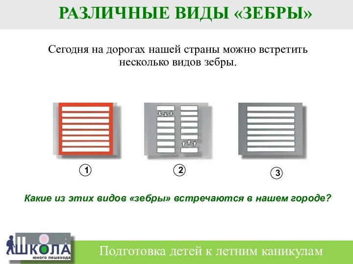 Сегодня на дорогах нашей страны можно встретить несколько видов зебры. Подготовка