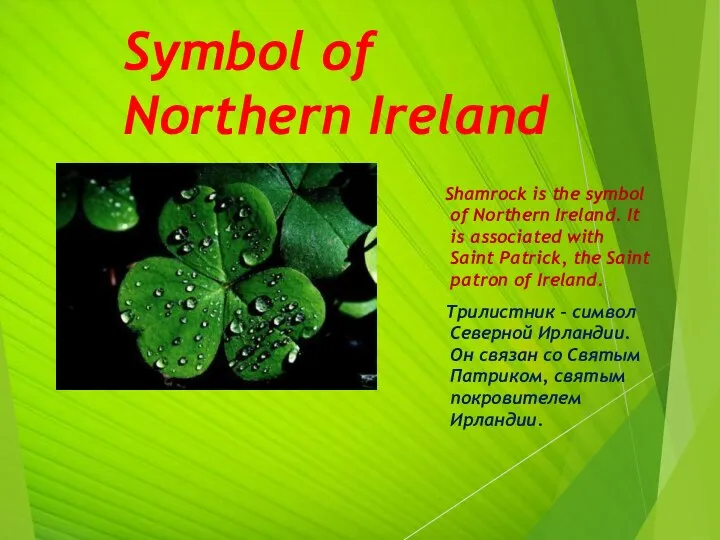 Symbol of Northern Ireland Shamrock is the symbol of Northern Ireland.