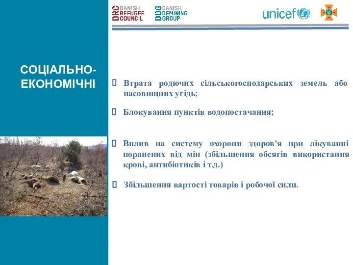 Втрата родючих сільськогосподарських земель або пасовищних угідь; Блокування пунктів водопостачання; Вплив