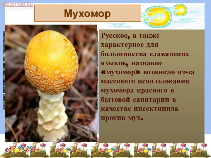 Русское, а также характерное для большинства славянских языков, название «мухомор» возникло