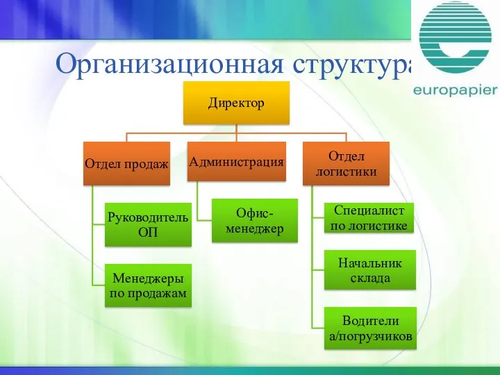 Организационная структура