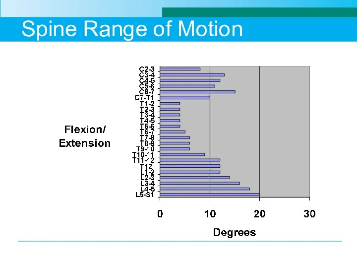 Spine Range of Motion