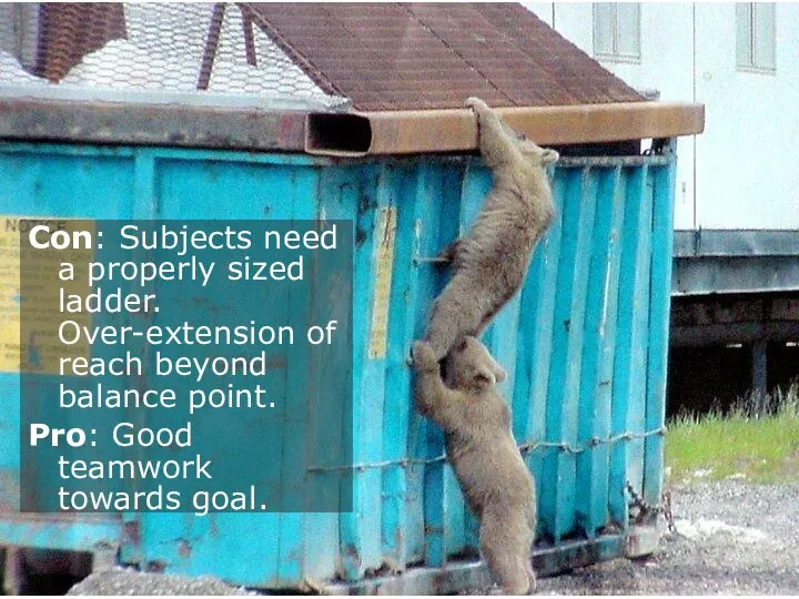 Con: Subjects need a properly sized ladder. Over-extension of reach beyond