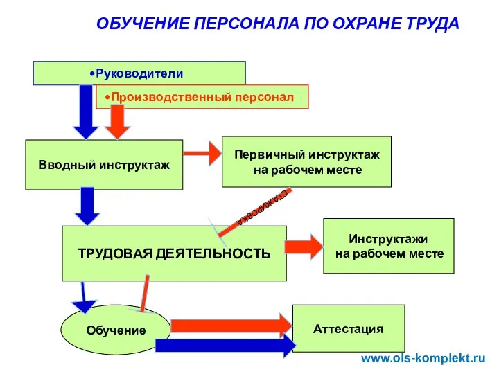 ОБУЧЕНИЕ ПЕРСОНАЛА ПО ОХРАНЕ ТРУДА Руководители Обучение Первичный инструктаж на рабочем