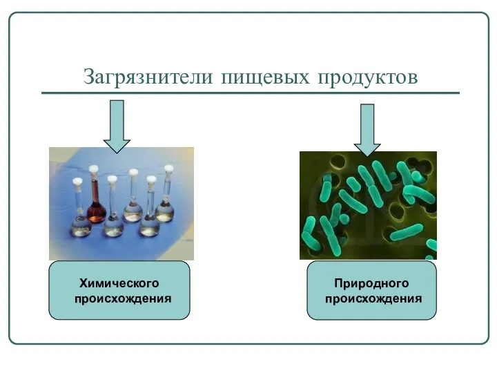 Загрязнители пищевых продуктов Химического происхождения Природного происхождения