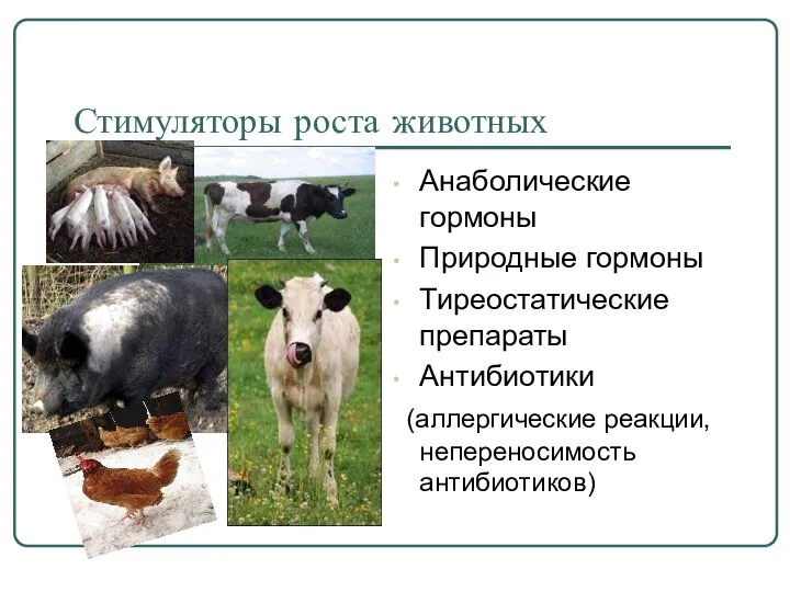 Стимуляторы роста животных Анаболические гормоны Природные гормоны Тиреостатические препараты Антибиотики (аллергические реакции, непереносимость антибиотиков)