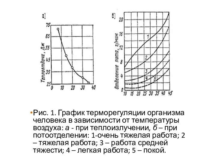 Рис. 1. График терморегуляции организма человека в зависимости от температуры воздуха: