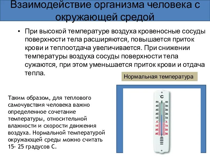 При высокой температуре воздуха кровеносные сосуды поверхности тела расширяются, повышается приток