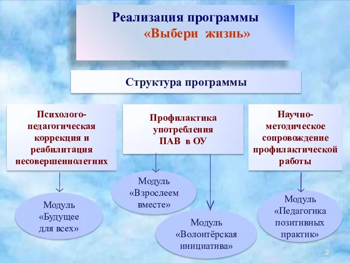 Реализация программы «Выбери жизнь» Структура программы Психолого-педагогическая коррекция и реабилитация несовершеннолетних