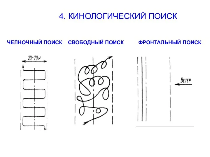 4. КИНОЛОГИЧЕСКИЙ ПОИСК ЧЕЛНОЧНЫЙ ПОИСК СВОБОДНЫЙ ПОИСК ФРОНТАЛЬНЫЙ ПОИСК