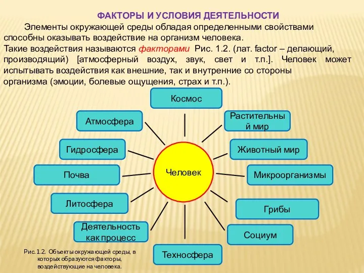 ФАКТОРЫ И УСЛОВИЯ ДЕЯТЕЛЬНОСТИ Элементы окружающей среды обладая определенными свойствами способны