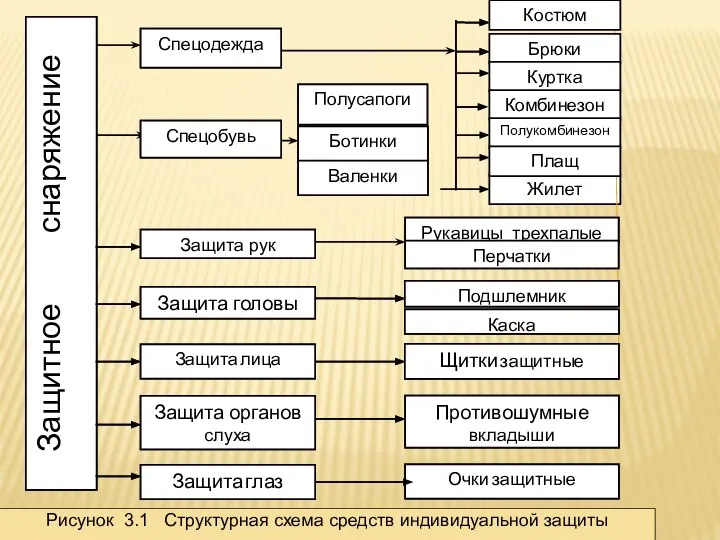 Брюки Куртка Комбинезон Полукомбинезон Плащ Костюм