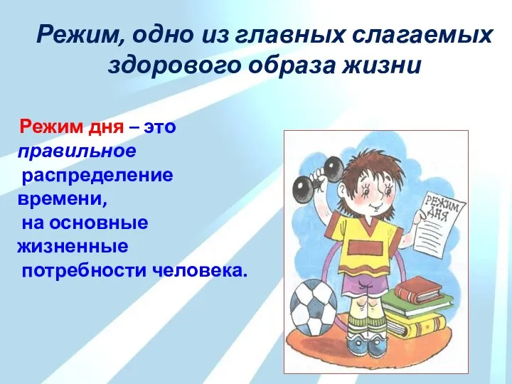 Режим, одно из главных слагаемых здорового образа жизни Режим дня –