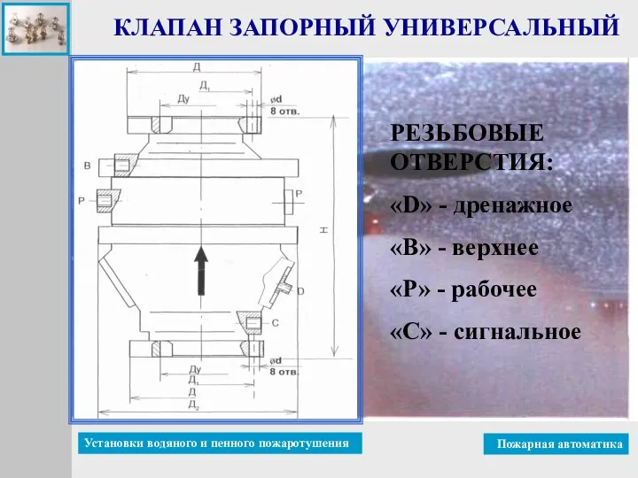 РЕЗЬБОВЫЕ ОТВЕРСТИЯ: «D» - дренажное «В» - верхнее «Р» - рабочее