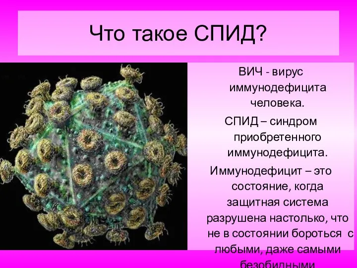 Что такое СПИД? ВИЧ - вирус иммунодефицита человека. СПИД – синдром